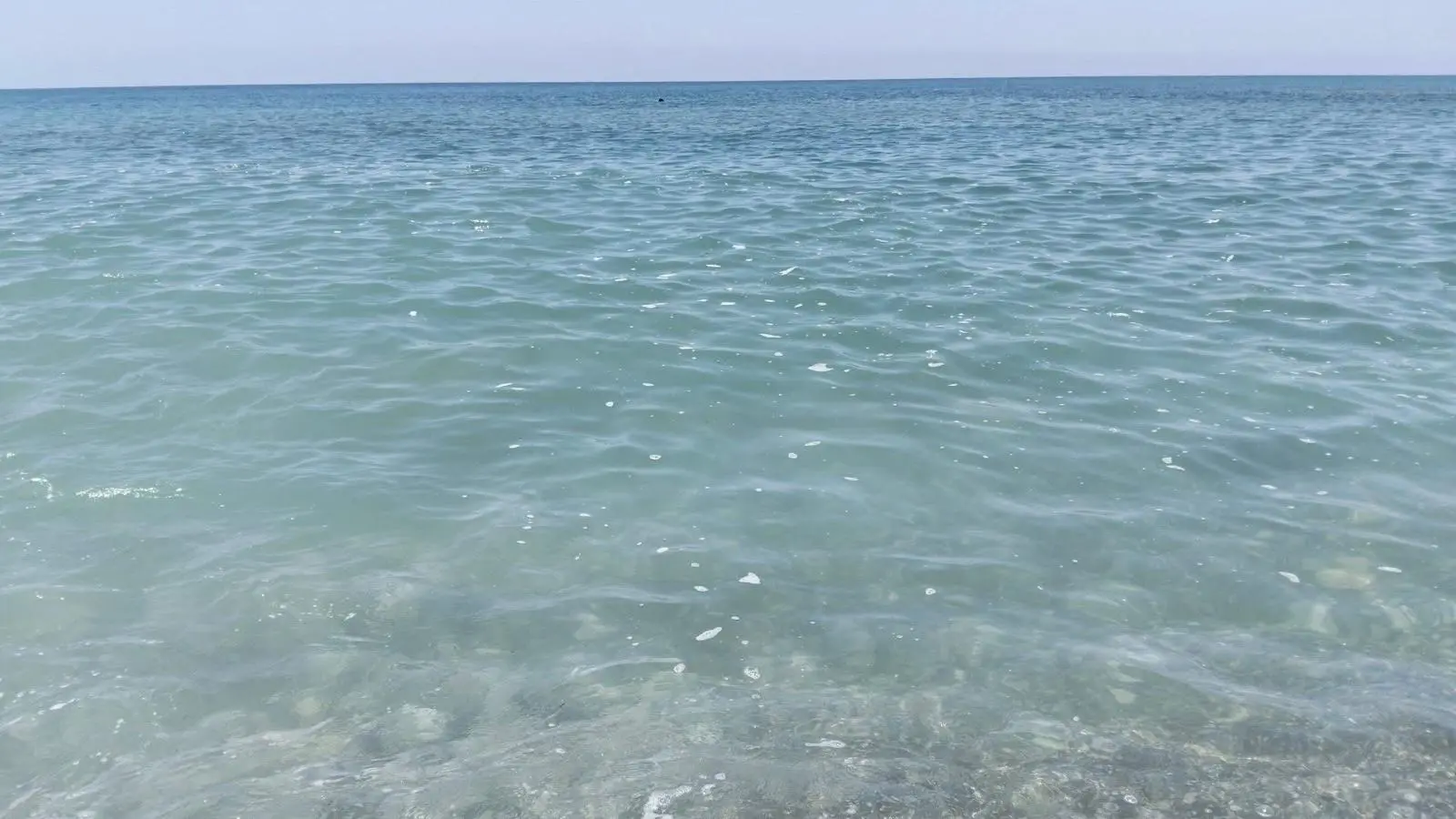 Mare sporco, giornata orribile sul Tirreno cosentino
