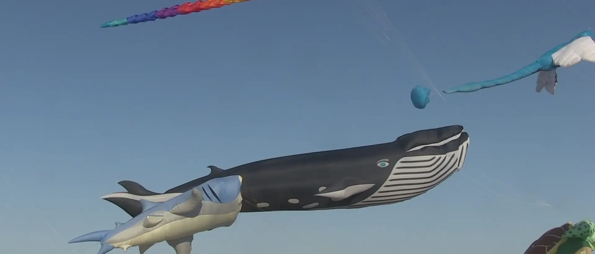 Catanzaro, grandi e piccini col naso all’insù per ammirare decine di aquiloni coloratissimi\n