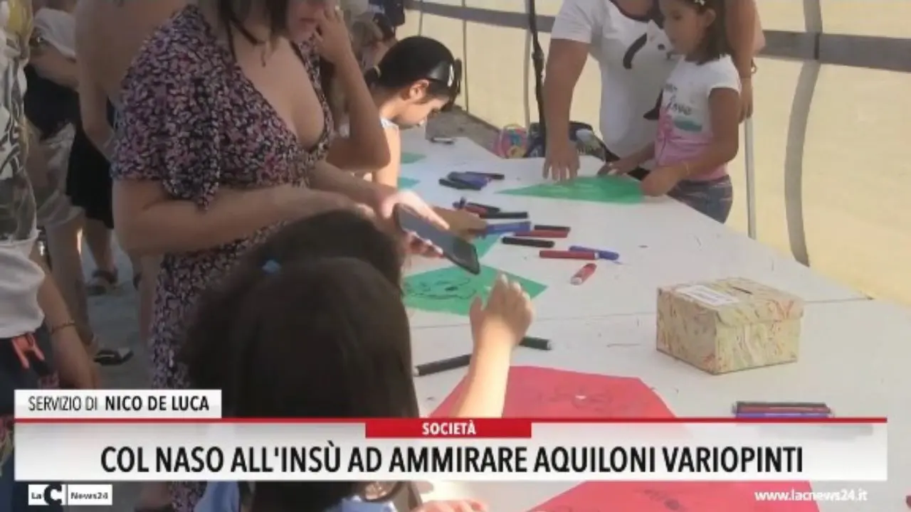 Col naso allinsù ad ammirare aquiloni variopinti