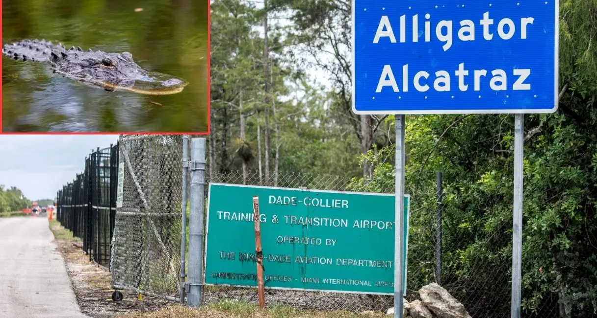 Alligator Alcatraz, straziante appello dell’italiano detenuto in Florida