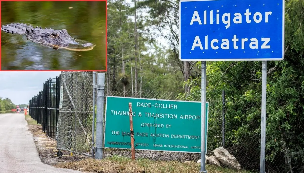 Alligator Alcatraz, straziante appello dell’italiano detenuto in Florida