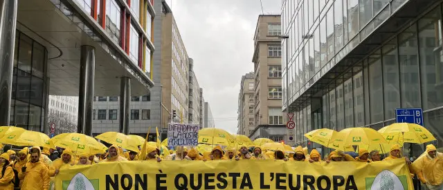 «Oltre 65mila aziende agricole calabresi colpite dal taglio della Pac, è un disastro annunciato», Coldiretti lancia l’allarme
