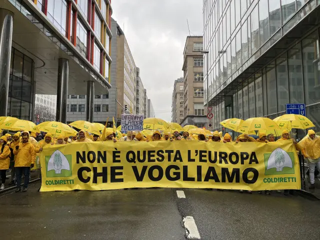«Oltre 65mila aziende agricole calabresi colpite dal taglio della Pac, è un disastro annunciato», Coldiretti lancia l’allarme