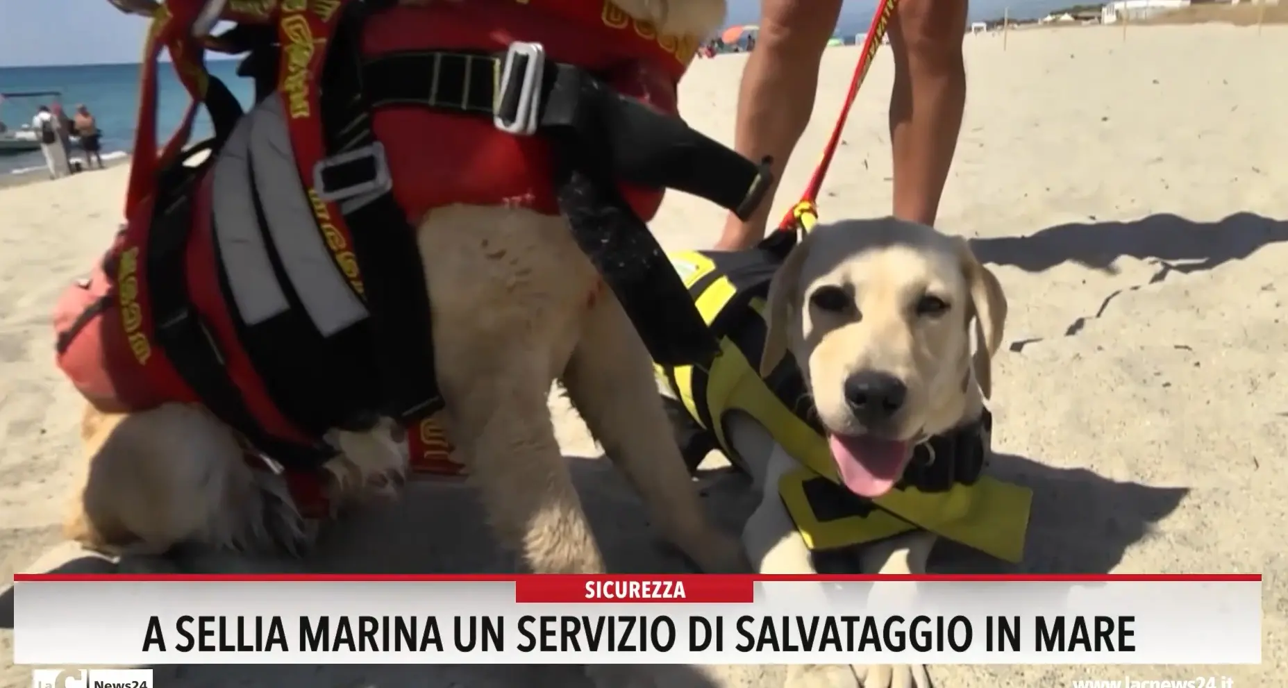 A Sellia marina un servizio di salvataggio in mare