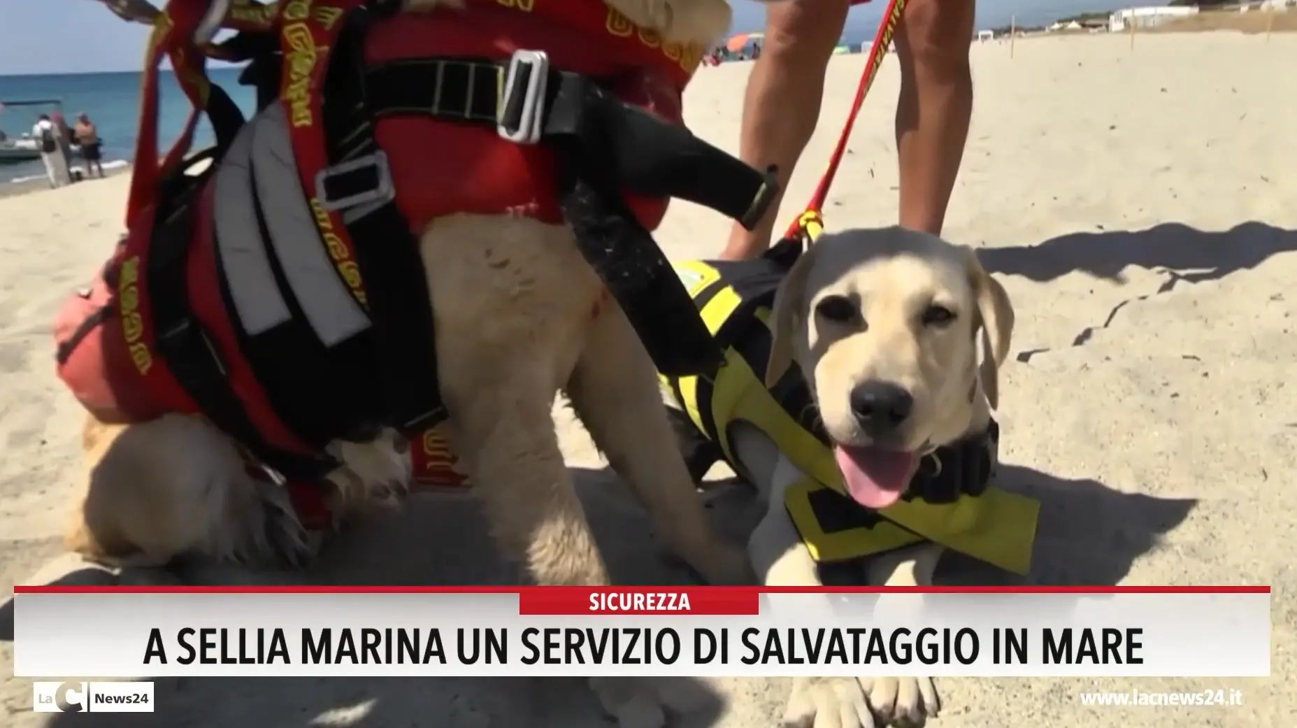 A Sellia marina un servizio di salvataggio in mare