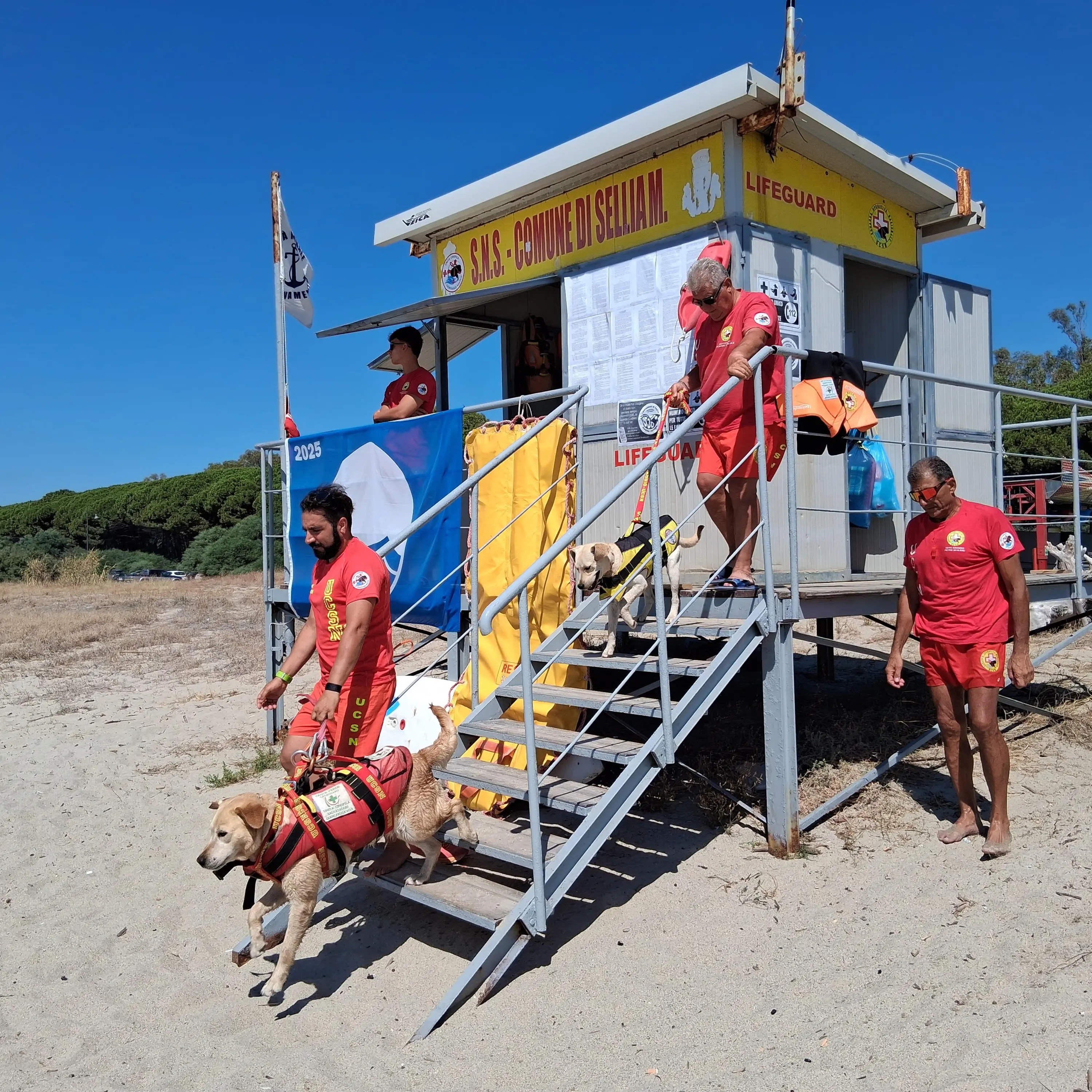 A Sellia Marina\u00A0spiagge più sicure e protette con i cani da salvataggio:\u00A0l'impegno dell'unità cinofila\n
