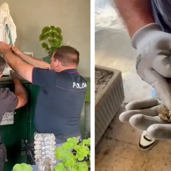 Cosenza, scoperta droga nelle statue della Madonna | VIDEO