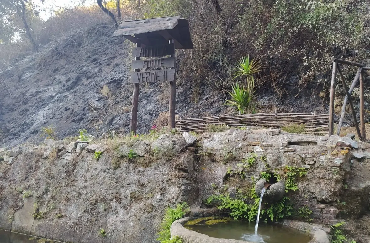 Bagnara, incendiato campo di grano antico gestito da volontari: «Non ci fermeremo»\n