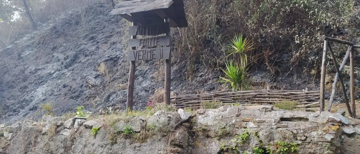 Bagnara, incendiato campo di grano antico gestito da volontari: «Non ci fermeremo»\n
