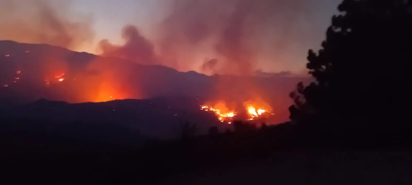 Vasto incendio tra Roccella e Caulonia, fiamme minacciano le case