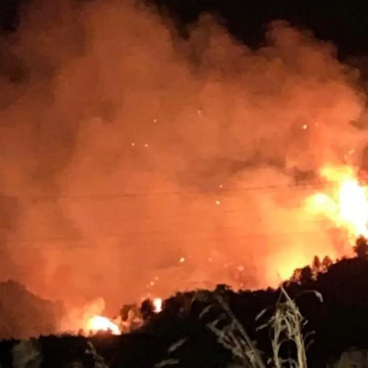 Calabria nella morsa degli incendi: in Sila 200 ettari in fumo, a Corigliano Rossano le fiamme minacciano le case