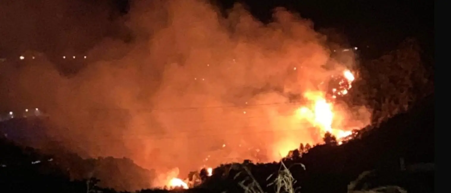 Calabria nella morsa degli incendi: in Sila 200 ettari in fumo, a Corigliano Rossano le fiamme minacciano le case