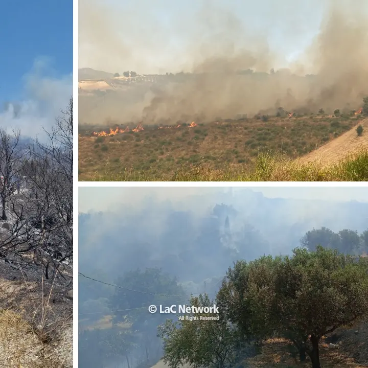 Inferno di fuoco tra Roccella e Caulonia, in fumo 35 ettari di macchia mediterranea. Le fiamme danneggiano una casa