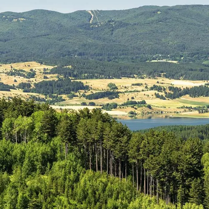 Sila, la foresta del futuro: Il Parco diventa un laboratorio a cielo aperto per combattere il cambiamento climatico\n