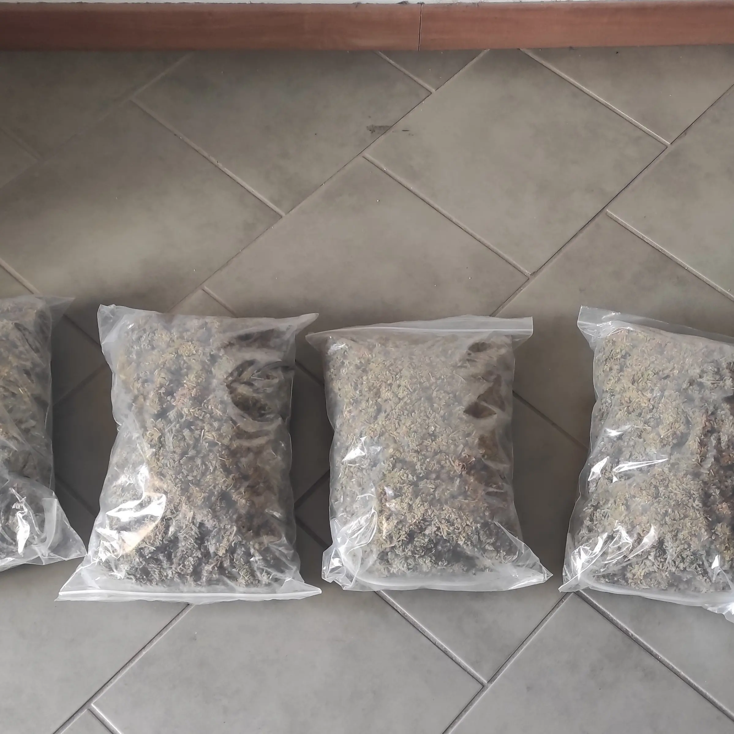 Fermato allo svincolo di Palmi con due chili di marijuana in auto: 24enne arrestato dalla polizia\n