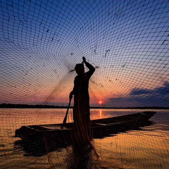 Pesca, dalla Regione 600mila euro per sostenere i Comuni costieri impegnati nella valorizzazione dei prodotti ittici locali\n