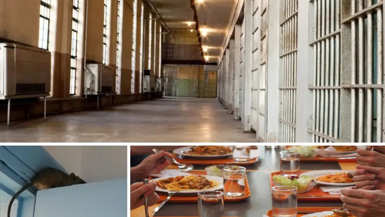 Topi e insetti in cucina, pezzi di metallo nel cibo e zero controlli: l’emergenza carceri in Calabria è anche a mensa