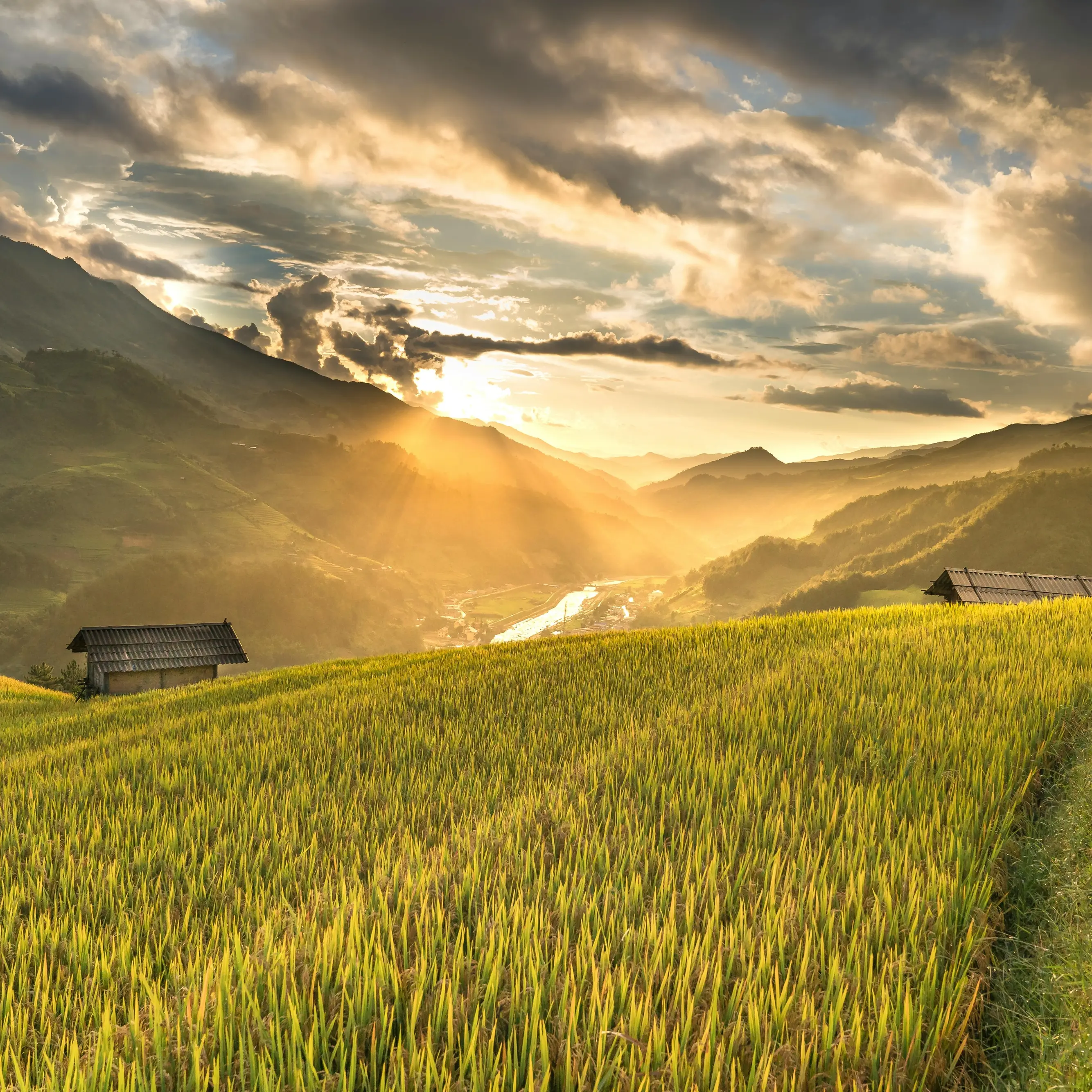 Spighe Verdi 2025 per dieci comuni calabresi (con tre new entry): ecco quali sono i borghi dell’agricoltura sostenibile\n