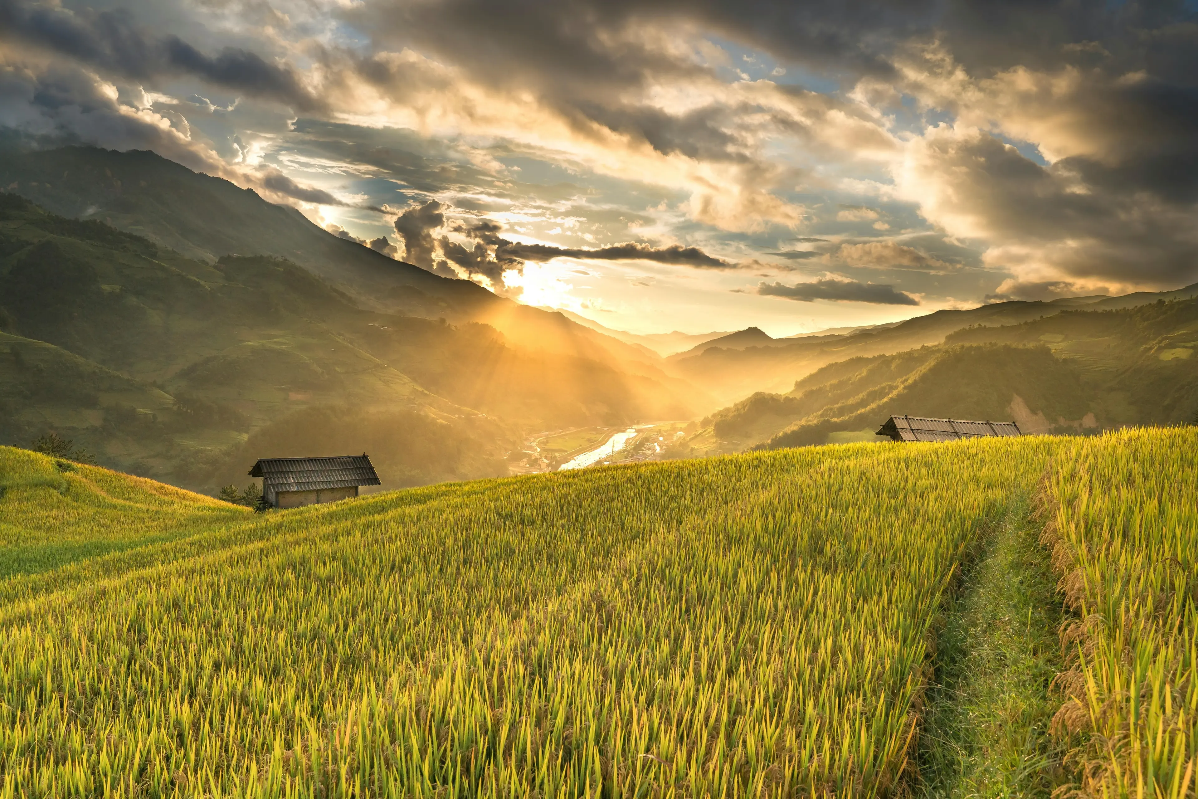 Spighe Verdi 2025 per dieci comuni calabresi (con tre new entry): ecco quali sono i borghi dell’agricoltura sostenibile\n