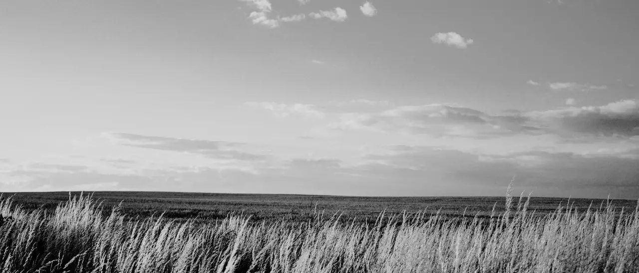 Non solo miseria e ritardo: la Calabria del primo Novecento coltivava cultura, memoria e poesia\n