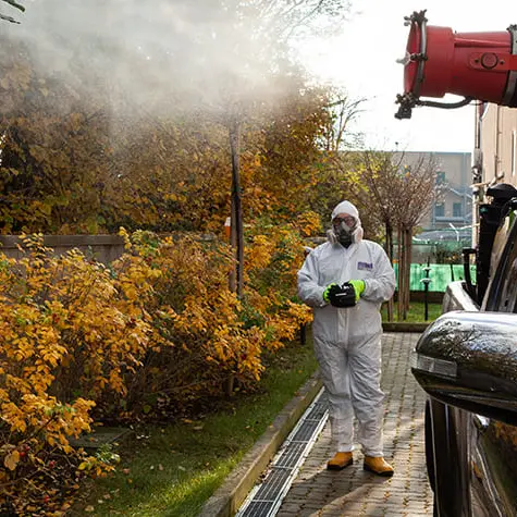 Rende, quattro giorni di disinfestazione