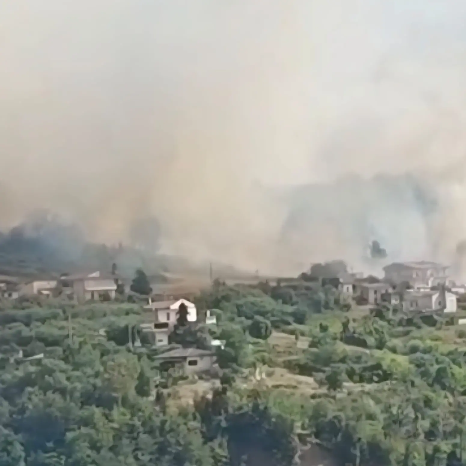 Incendi senza tregua sulla Riviera dei Cedri: evacuato il centro storico di Buonvicino\n