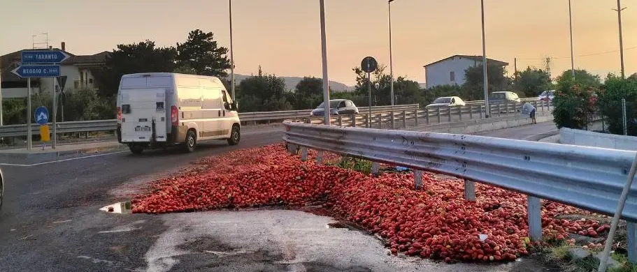 Perde il carico di pomodori sulla Statale 106 e fugge: gli automobilisti li raccolgono