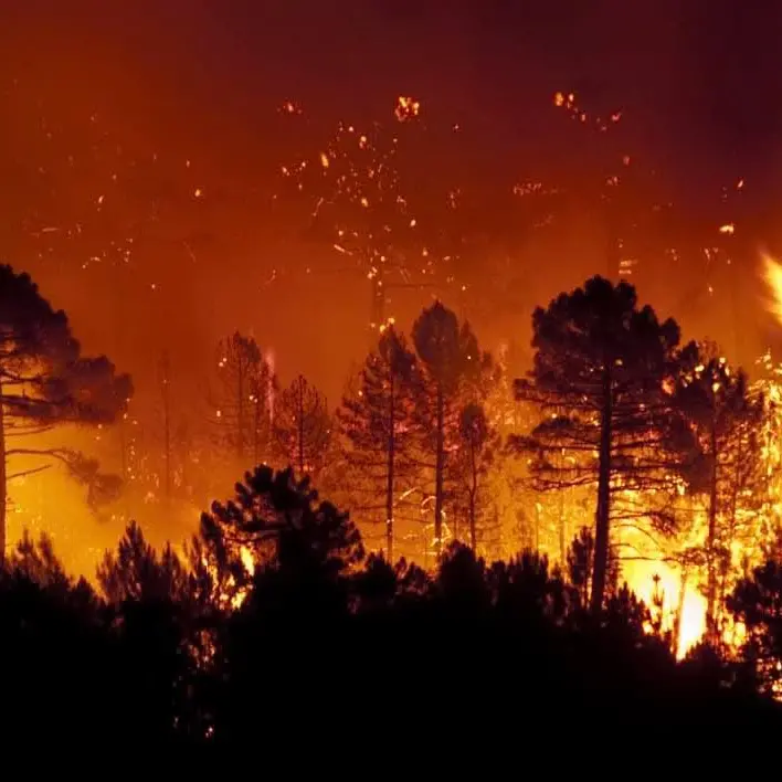 Piana di Gioia Tauro nella morsa degli incendi, aria irrespirabile. Il sindaco Scarcella emana l’allerta per la salute pubblica\n