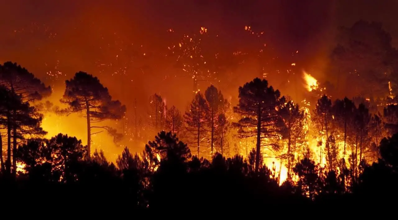 Piana di Gioia Tauro nella morsa degli incendi, aria irrespirabile. Il sindaco Scarcella emana l’allerta per la salute pubblica\n