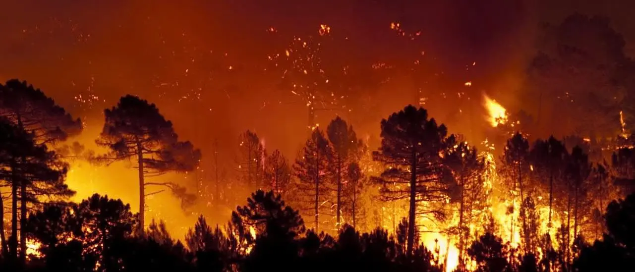 Piana di Gioia Tauro nella morsa degli incendi, aria irrespirabile. Il sindaco Scarcella emana l’allerta per la salute pubblica\n