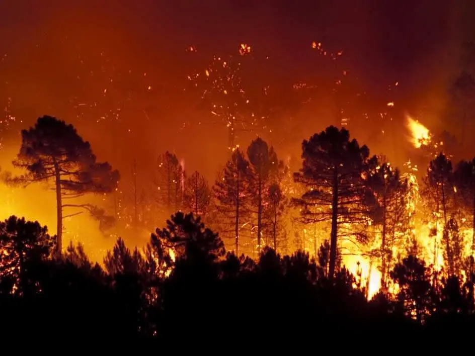 Piana di Gioia Tauro nella morsa degli incendi, aria irrespirabile. Il sindaco Scarcella emana l’allerta per la salute pubblica