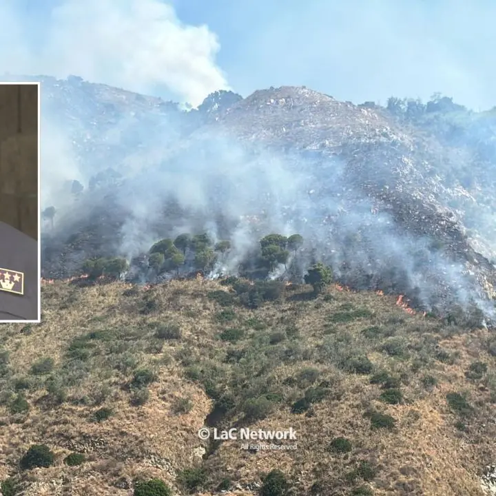 Vibonese in fiamme: oltre 220 roghi in meno di un mese. Ponterio (Vigili del Fuoco): «Serve più rispetto per il territorio»\n