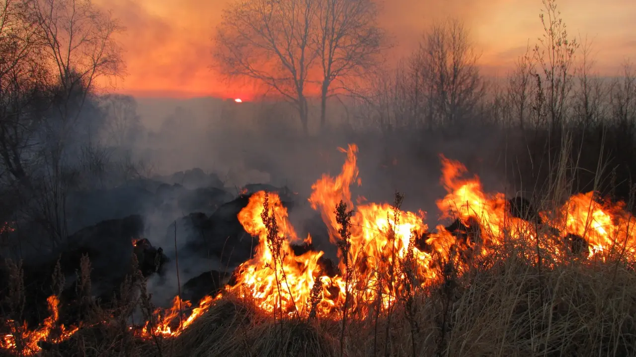 Incendi a Tortora: prova a spegnere il fuoco ma resta ustionata, donna trasportata in ospedale\n