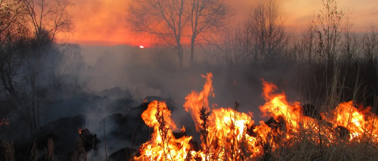 Incendi a Tortora: prova a spegnere il fuoco ma resta ustionata, donna trasportata in ospedale\n