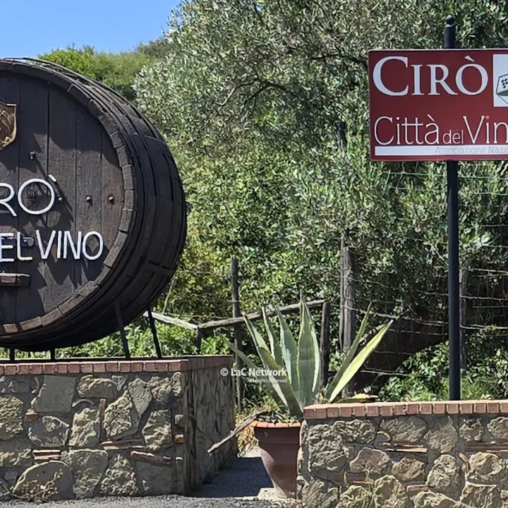Il Cirò Classico è una Docg, la prima della Calabria. Traguardo storico e occasione straordinaria di sviluppo\n