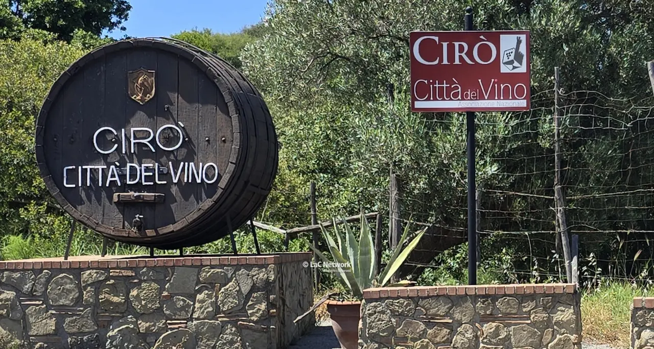 Il Cirò Classico è una Docg, la prima della Calabria. Traguardo storico e occasione straordinaria di sviluppo\n