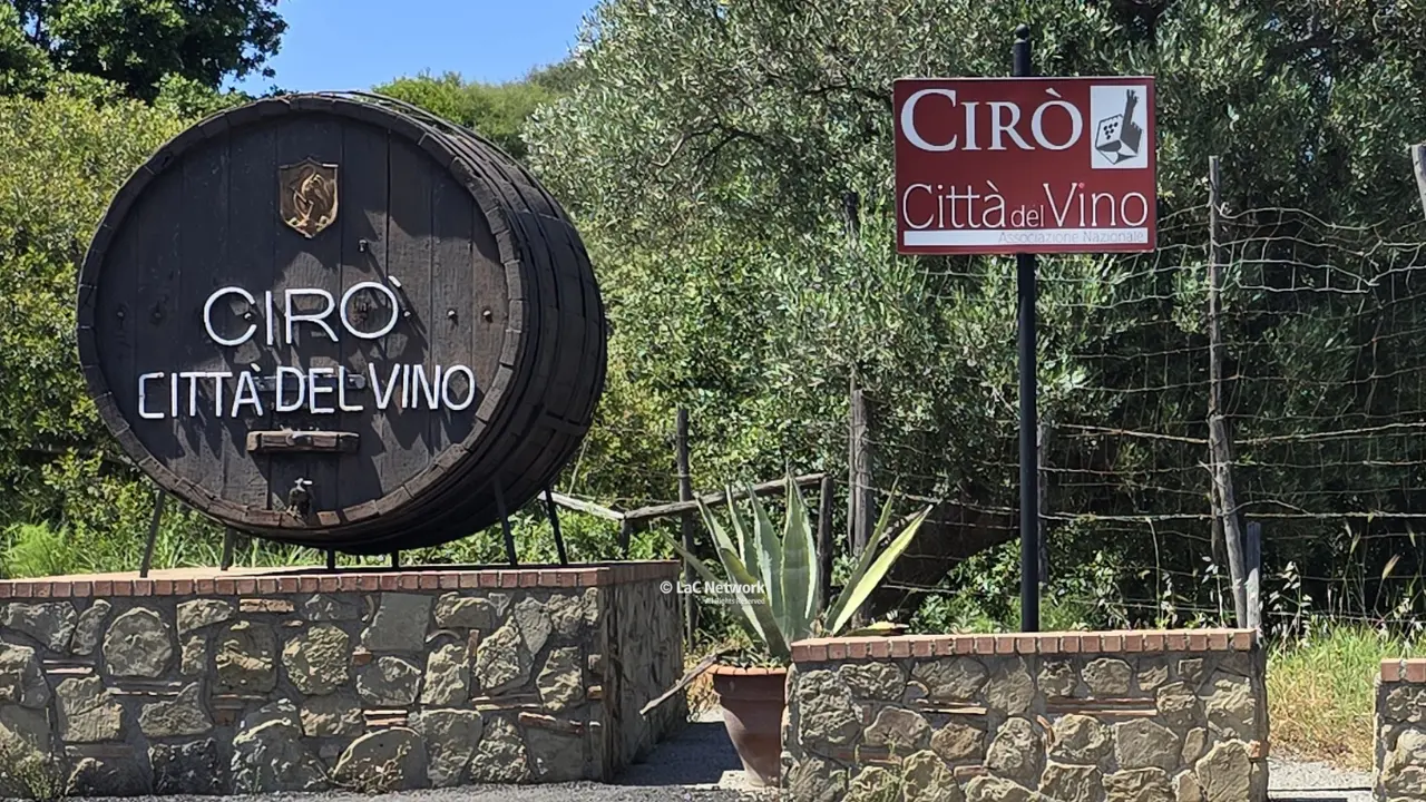 Il Cirò Classico è una Docg, la prima della Calabria. Traguardo storico e occasione straordinaria di sviluppo\n