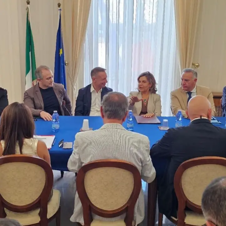 Mare verde tra Pizzo e Nicotera, rassicurazioni dal vertice in Prefettura: «Sono alghe, nessun rischio per l’uomo»\n