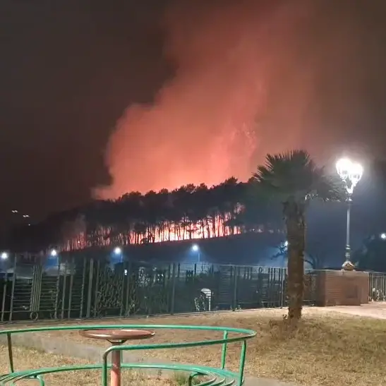 Incendi, da Tortora a Scalea brucia\u00A0l'alto Tirreno cosentino: ad\u00A0Aieta pineta distrutta dalle fiamme