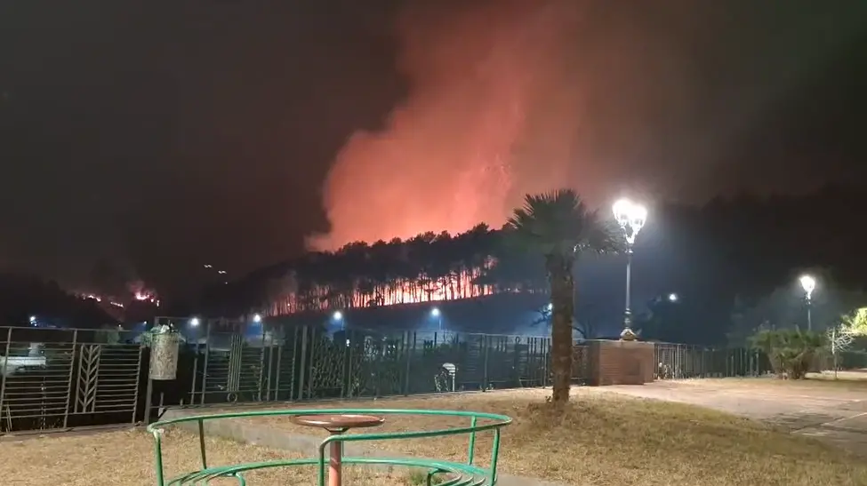 Incendi, da Tortora a Scalea brucia\u00A0l'alto Tirreno cosentino: ad\u00A0Aieta pineta distrutta dalle fiamme