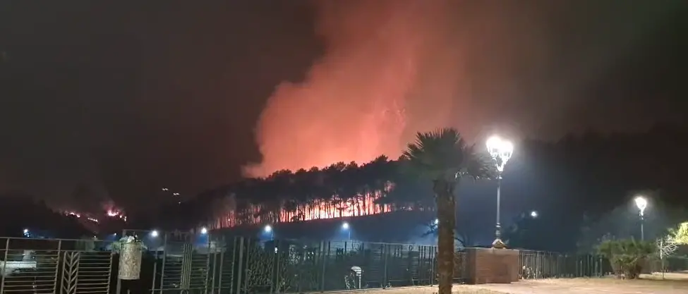 Incendi, da Tortora a Scalea brucia\u00A0l'alto Tirreno cosentino: ad\u00A0Aieta pineta distrutta dalle fiamme