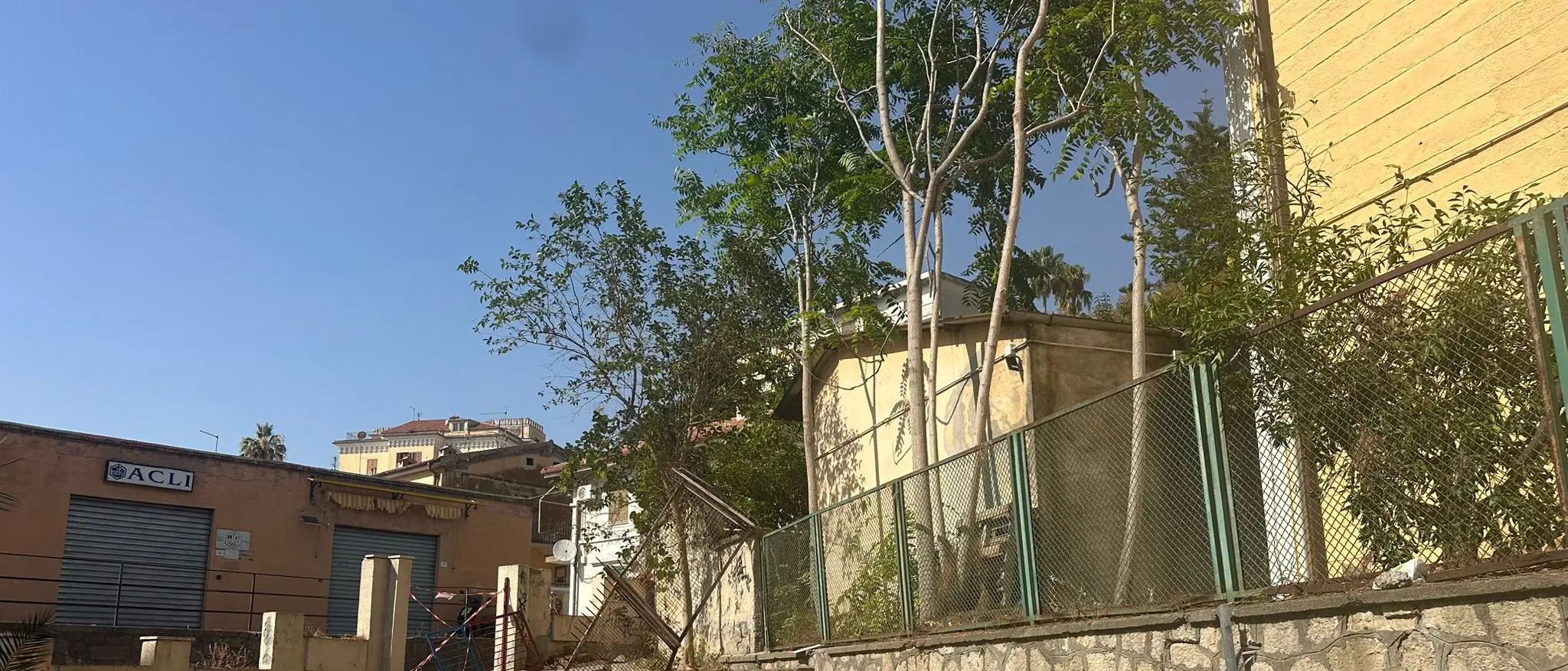 «Scempio a Via delle Mimose»: Insieme per Paola accusa l’amministrazione Perrotta\n