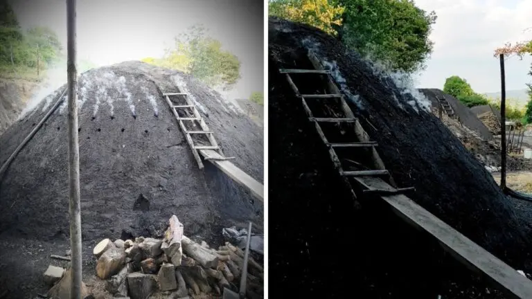 “Na notti allu scarazzu”: a Serra San Bruno escursione notturna sulle orme degli ultimi carbonai\n