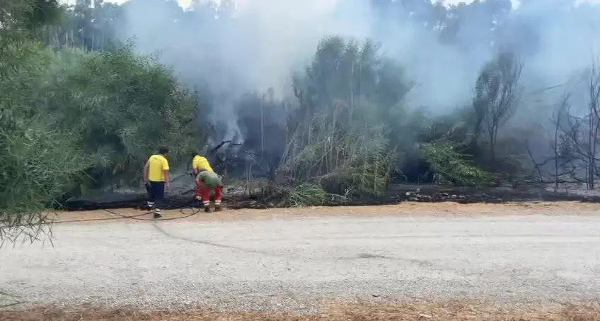 Pineta in fiamme a Villapiana Scalo