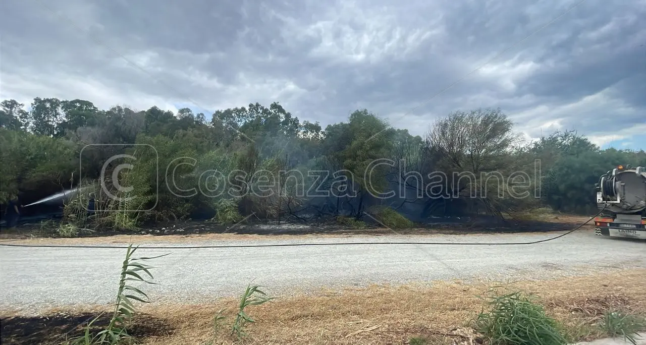 Villapiana, domato l’incendio che ha danneggiato la pineta dello Scalo