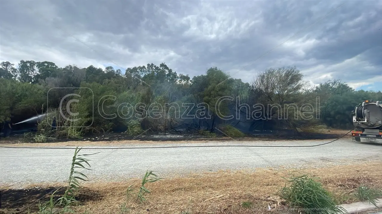 Villapiana, domato l’incendio che ha danneggiato la pineta dello Scalo