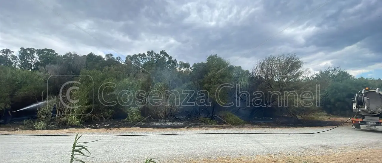 Villapiana, domato l’incendio che ha danneggiato la pineta dello Scalo