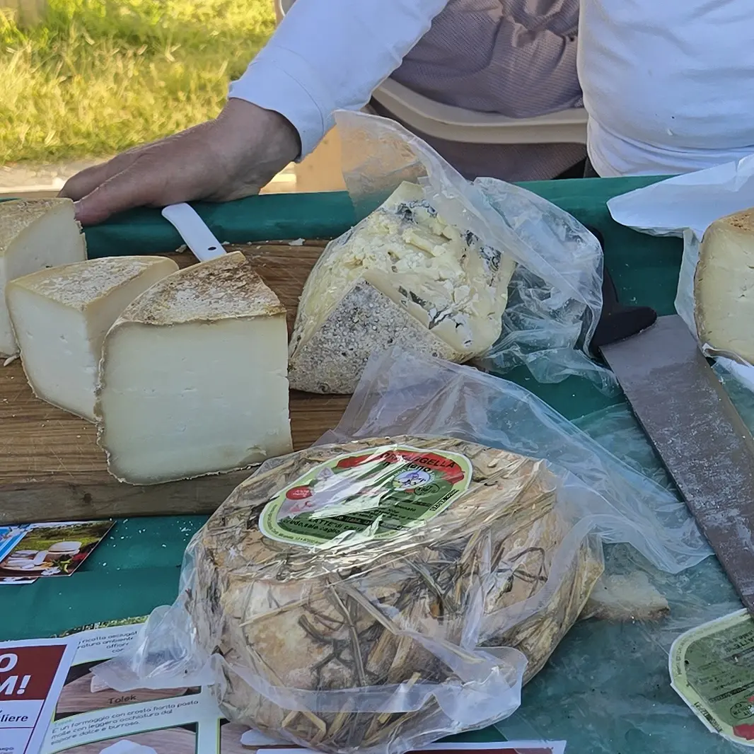 Produzione di latte bovino, Calabria sotto l’1% della produzione nazionale. Lombardia locomotiva italiana\n