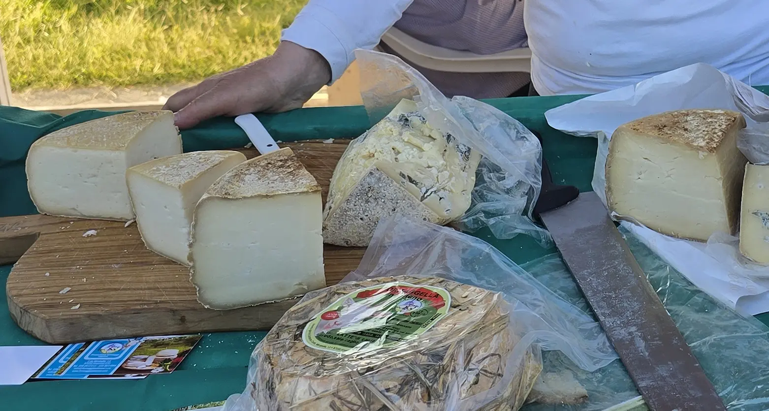 Produzione di latte bovino, Calabria sotto l’1% della produzione nazionale. Lombardia locomotiva italiana\n