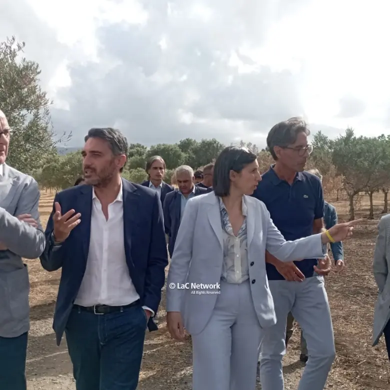 Valle del Marro sotto attacco, il sostegno di Elly Schlein: «La ’ndrangheta ha paura di questa coop, saremo al suo fianco»\n